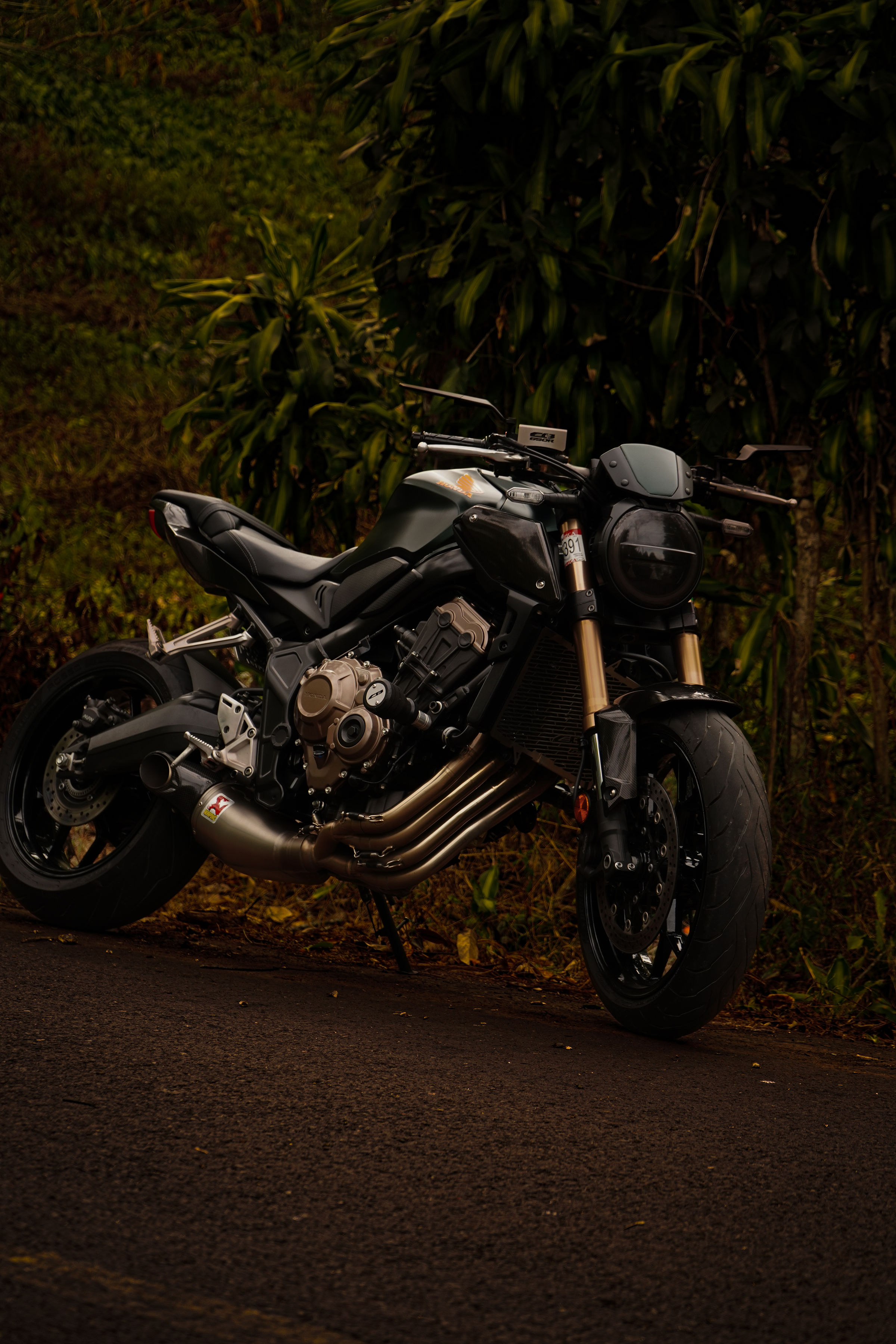 Sesión de Fotos de Fabian Burgos