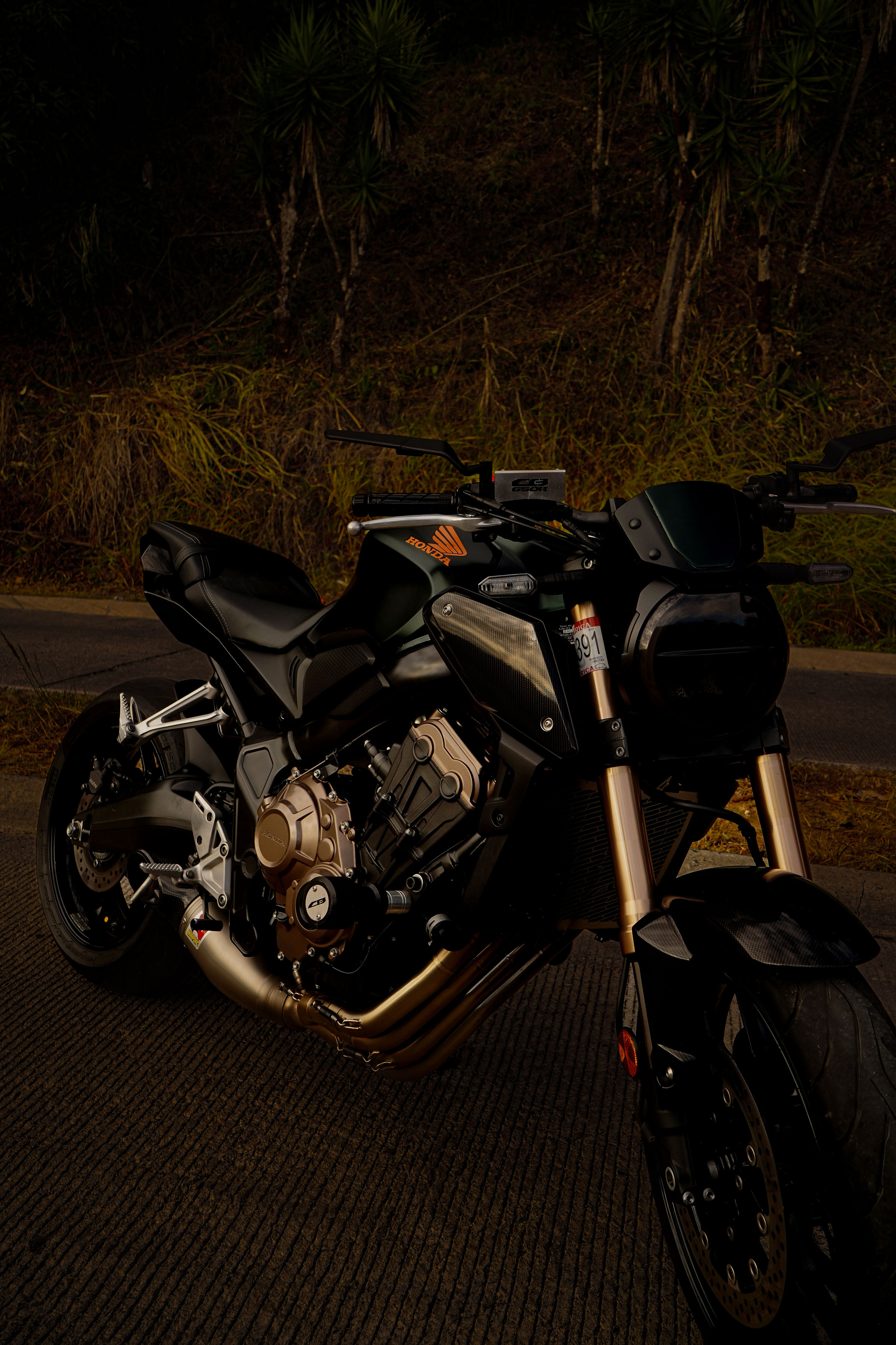 Sesión de Fotos de Fabian Burgos